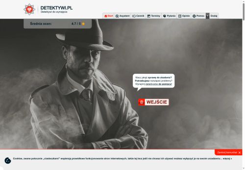 Prywatni detektywi do wynajęcia